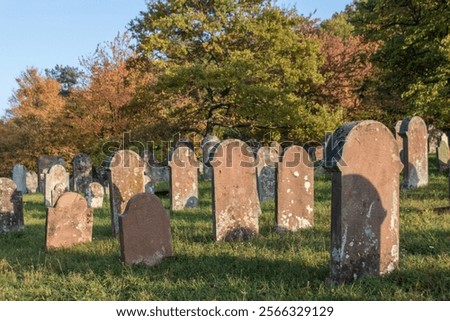 Similar – Image, Stock Photo Jewish tombstone Autumn