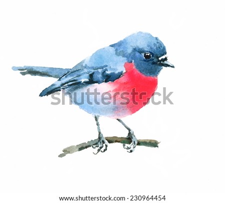 Watercolor Bird Pink Robin On Branch Hand Painted Illustration