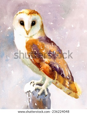 Barn Owl Bird sitting on stump hand painted watercolor illustration
