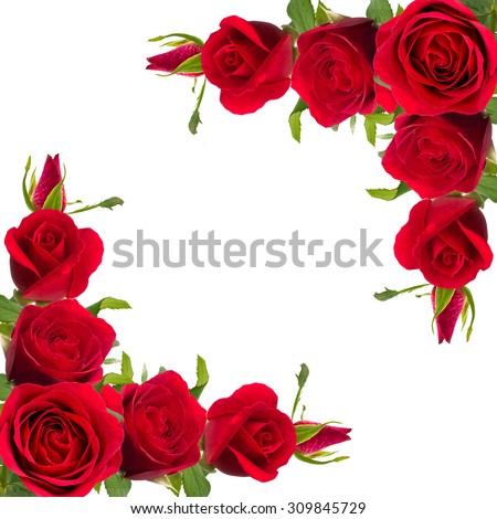stock photo bouquet of red roses on white background 309845729