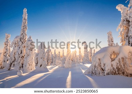 Similar – Image, Stock Photo winter Landscape