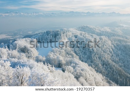 Wonderful winter day with trees covered with white frost. View from Uetliberg, Zurich, Switzerland