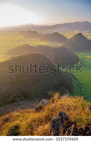 Similar – Image, Stock Photo Yellow golden canola field in the summertime