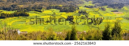 Similar – Image, Stock Photo Yellow golden canola field in the summertime