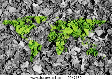 conceptual image of flat world map on leaves