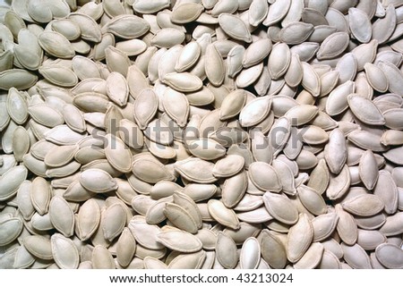 close up shot of a lot of squash seeds