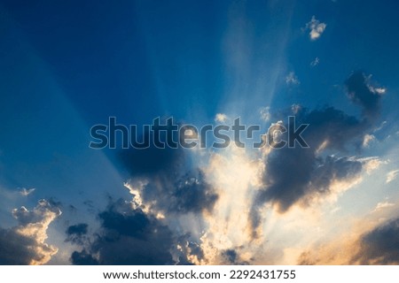 Similar – Image, Stock Photo The sun shines through tree branches and leaves