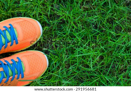 Sports shoes sneakers on fresh green grass. Sports in the open air. top view