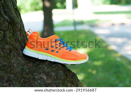 Sports shoes sneakers outdoors. Sports in the open air. top view