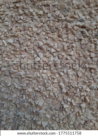 Similar – Image, Stock Photo A nice peeble with a harsh sun shadow on a gray backdrop