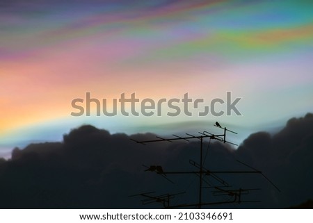 Beautiful iridescent cloud, Irisation. Skyscraper background. Photo stock © 