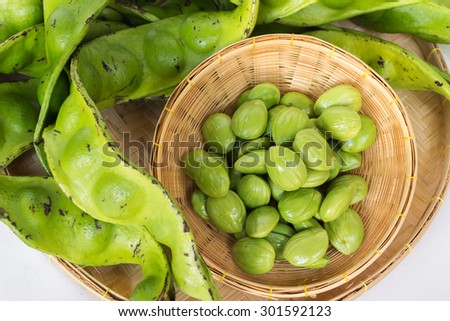 The fresh Parkia is tropical stinking edible beans in weave basket on weave basket