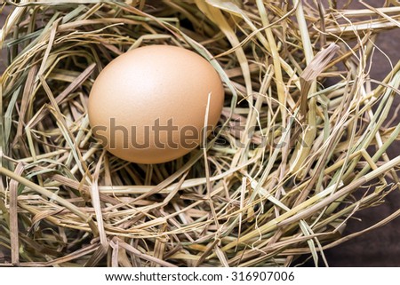 Eggs on rice straw background