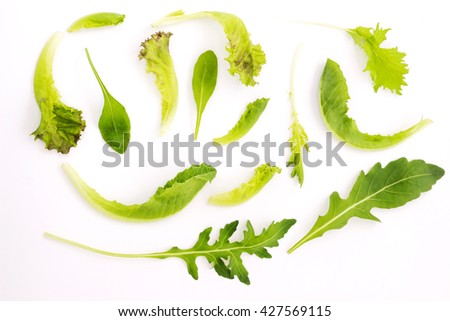 Fresh green baby leaves of endive, rocket and lettuce salad isolated on white background Stock foto © 