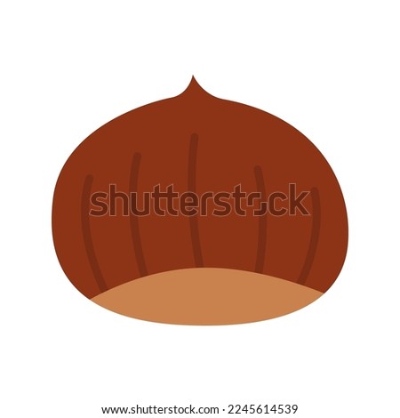Edible sweet chestnuts. Japanese chestnut isolated on white background. Vector color illustration.