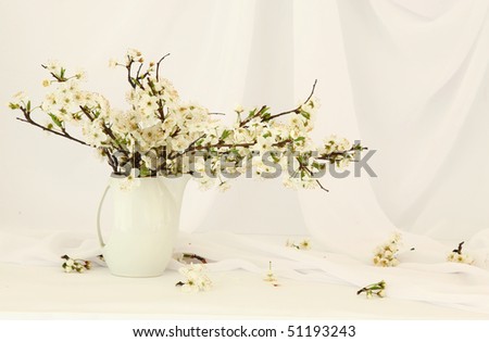 Delicate still life with blooming cherry tree