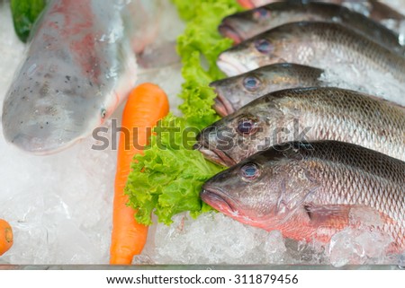 The fishes put on the ice for waiting cooking, the eye of first fish focusing