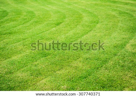 big mowed lawn