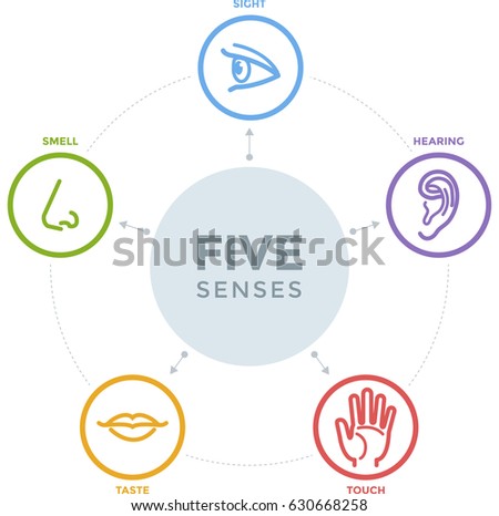 Five senses with complex line icons in a mind map design