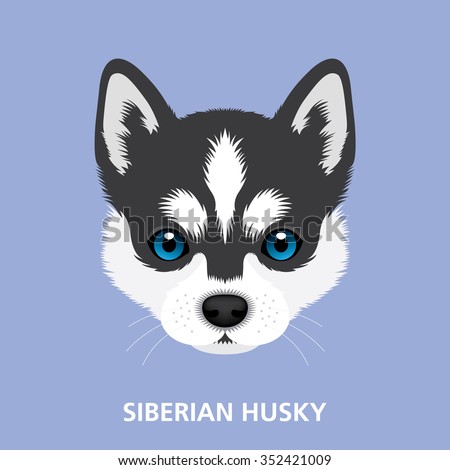 Vector Illustration Portrait of Siberian Husky Puppy. art of dog face