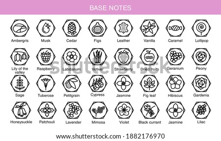 Vector icons aromas base notes. Base notes pyramid chart with examples of popular aroma essences. Scent categories are oriental, woody, fresh and floral. Trend  examples of scents.