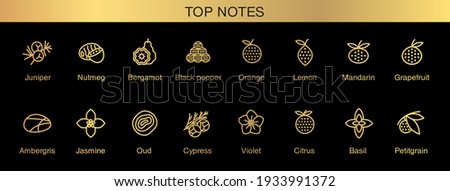 Vector icons aromas top notes. Top notes pyramid chart with examples of popular aroma essences. Smell categories are oriental, woody, fresh and floral. Trend  examples of scents.