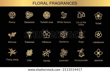 Vector icons aromas floral notes. Floral fragrances with examples of popular essences. Trend  examples of scents. Floral icons.