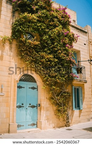 Similar – Image, Stock Photo Colorful Streets of Mdina, Malta