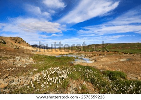 Similar – Image, Stock Photo Large geyser on Iceland surrounded by lava cliffs
