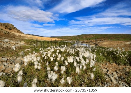 Similar – Image, Stock Photo Large geyser on Iceland surrounded by lava cliffs