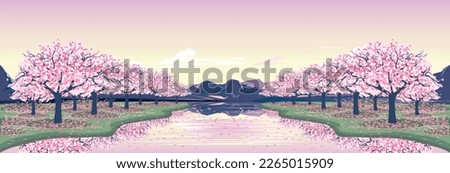 Panorama of the current Reflecting River with two banks, on which cherry blossom trees grow, mountains and a warm sky with clouds. vector illustration. Japanese style.