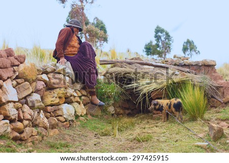 Aymara woman and a piglet