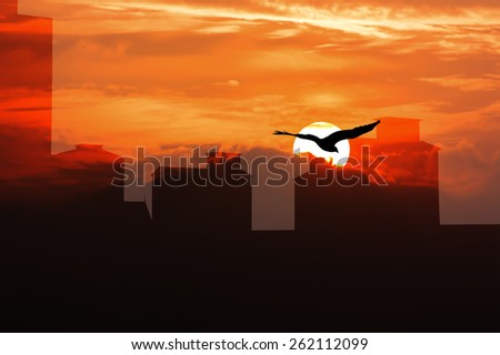 Double exposure of  Sunset over some of high old building and Flying eagle on sky