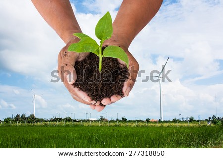 environment concept ,save the world -  man hand holding green tree  on wind turbine  background
