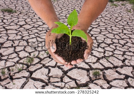 Green returns to nature,people, ecology, biology and environment concept,hand holding green tree on cracked ground from rainless