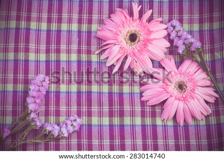 vintage of pink gerbera flower on  violate cloth