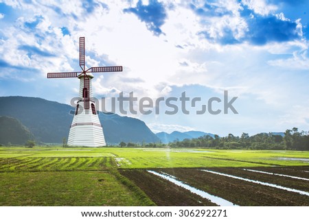 the wind turbine in The morning green rice field,renewable concept save the world