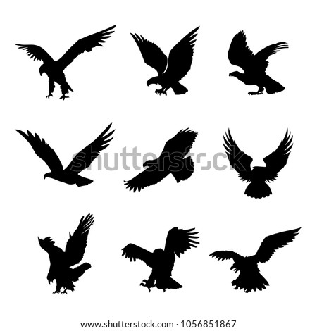 Eagle Falcon Bird Hawk Animal Silhouette Black Icon Flat Design Element Vector Illustration