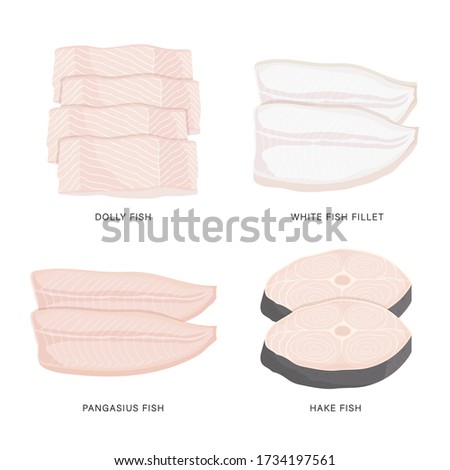 Set of raw fish slice and meat steaks isolated on a white background. Cartoon Vector illustration