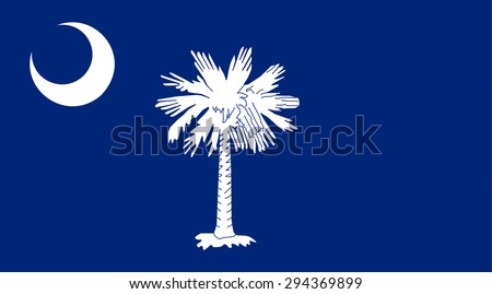 South Carolina state national flag. Vector EPS8