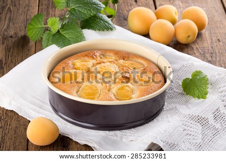 Similar – Image, Stock Photo Apricot pie in tray freshly baked. Top view of pie with a lattice crust