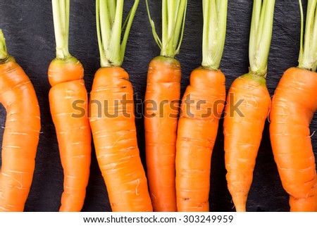Fresh carrots in a row on black slate background. Top view.