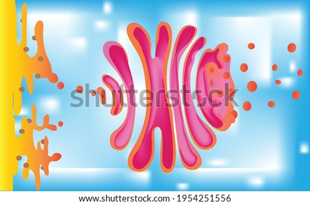 Biological illustration of Golgi apparatus in cell, dictiosome, lysosome and oxysome formation process, cell digestion machines, golgi body, packages them in vesicles, and either stores them for use