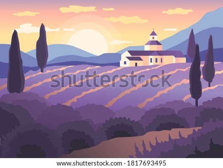 Landscape Sunset in Provence, Blooming Lavender Fields of Provence, Medieval Church of Provence and Cypresses, Vector Illustration in Flat Style