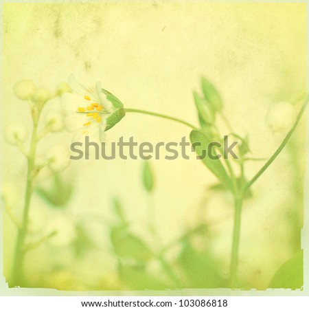 grunge flowers background