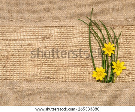 yellow flowers in the framework of burlap