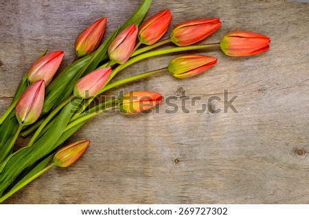 bouquet of red tulips on the wooden background