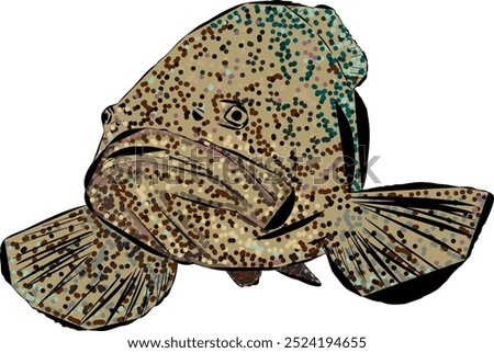 An artsy Goliath Grouper fish