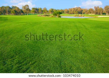 Bright grass of golf field