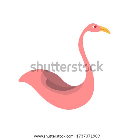 Pink Flamingos tropical exotic bird